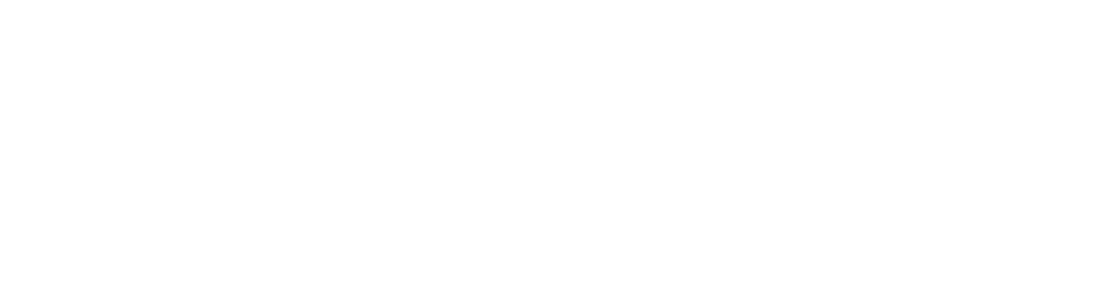 فیدر