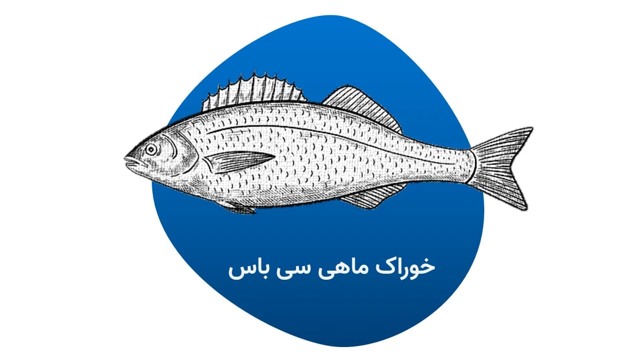 خوراک سی‌باس