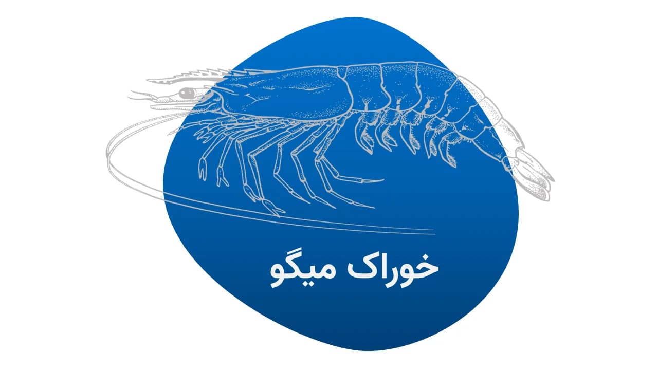 خوراک میگو