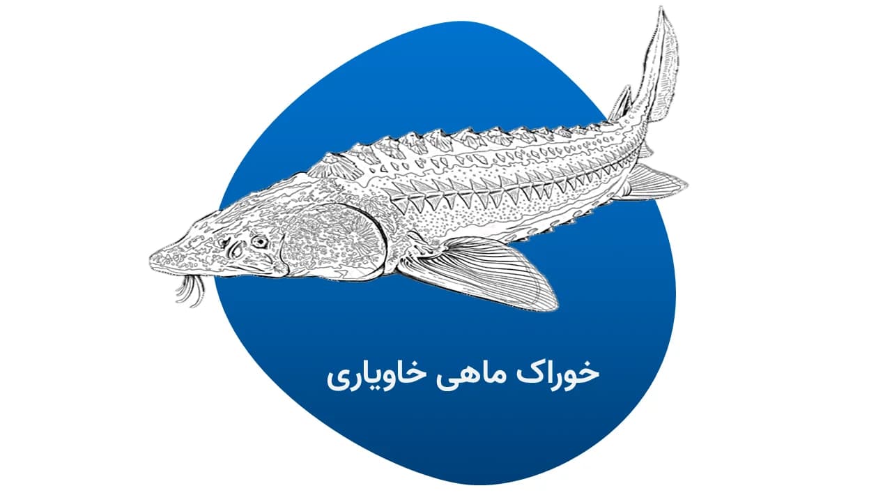 خوراک ماهیان خاویاری