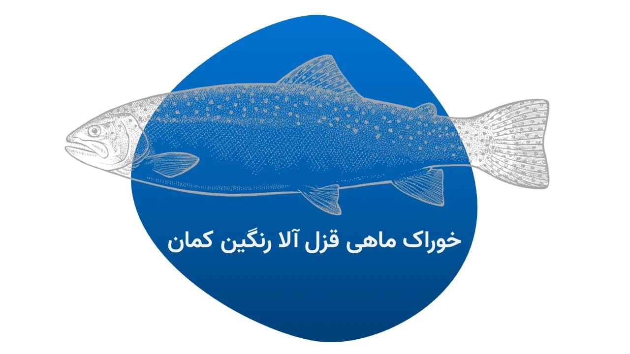 خوراک قزل‌آلا
